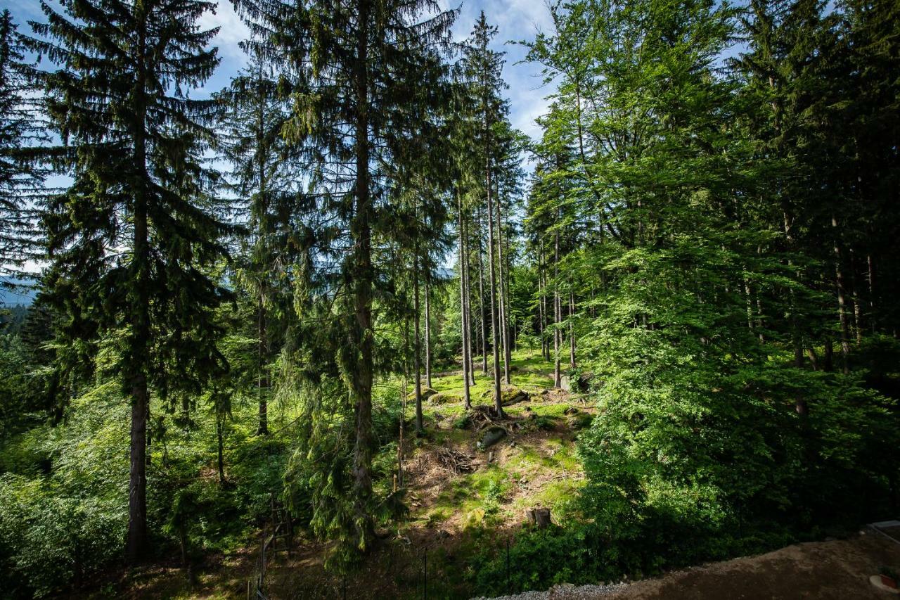Obis Frühstückspension Schreiberhau